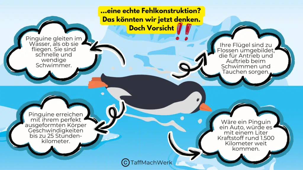 Das Pinguin-Prinzip von Eckart von Hirschhausen besagt, dass es viel sinnvoller ist seine Stärken zu stärken, als an seinen Schwächen hermzudoktern.